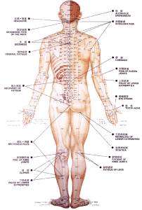 Acupuncture_trigger_points